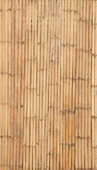 Bamboo background