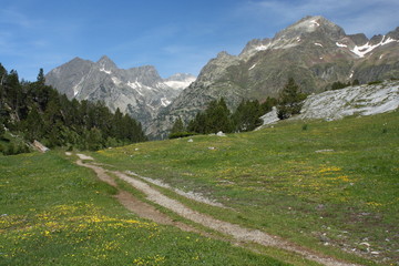 footpath in vall de benas