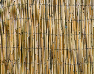 abstract yellow bamboo wall, construction details