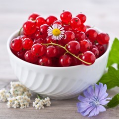 Redcurrant