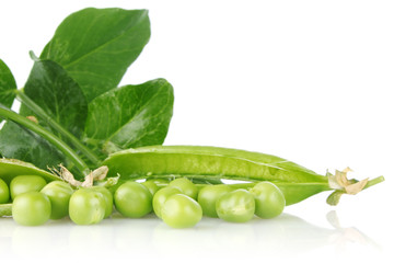 green pea with leaves isolated on white background