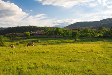 Fototapeta premium Bulgarian village