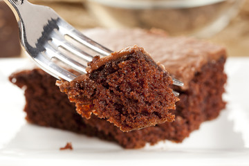 Fresh Homemade Brownie