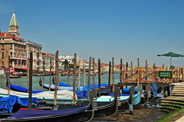 Fototapeta premium Venezia dal Canal Grande