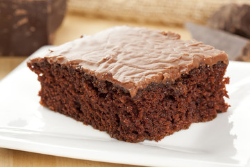 Fresh Homemade Brownie
