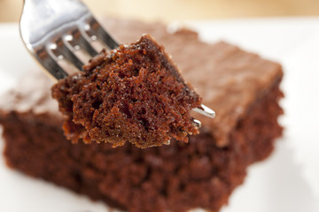 Fresh Homemade Brownie