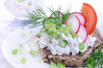 Sandwich with cottage cheese, cucumber,radish and tomato