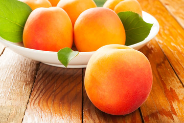 apricots still life