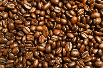 coffee beans