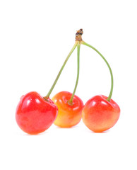 three cherries