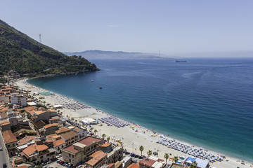 Fototapeta premium Scilla