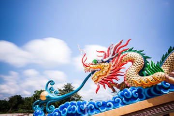 Fototapeta premium The dragon