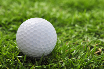 golf ball and grass