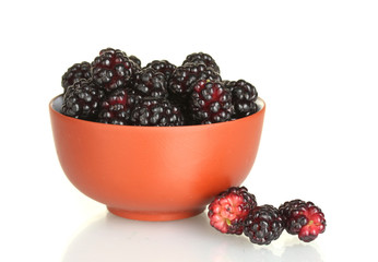 Ceramical bowl with ripe mulberries isolated on white close-up