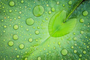 Heart shape water drop