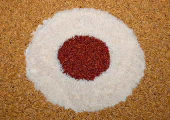 The Art of rice and paddy and unpolished rice