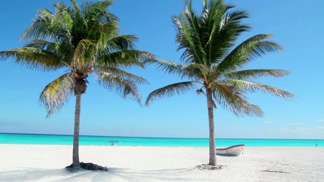 Caribbean Tulum white sand beach with two palm trees and boat