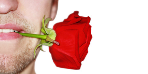 Naklejka premium valentine gift