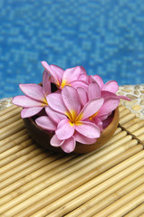 frangipani flowers in bowl on mat in the swimming pool