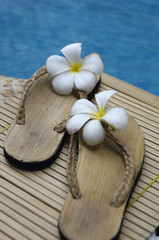 Fototapeta na wymiar Slipper with frangipani on mat near swimming pool in hotel