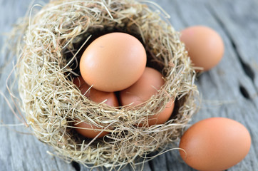 Macro shoot of brown eggs