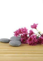 Obraz na płótnie Canvas Plum-tree flowers with stones on mat