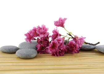 Plum-tree flowers with stones on bamboo mat