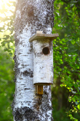 Birdhouse in tree