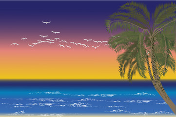 Palme und Vögel bei Sonnenuntergang am Meer