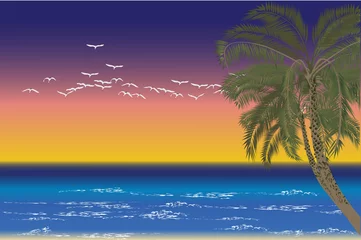 Papier Peint photo Lavable Oiseaux, abeilles palmier et oiseaux en mer coucher de soleil