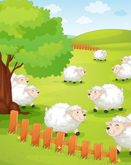 Obraz na płótnie Canvas Lamb na zielonej trawie