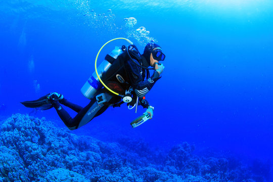 Fototapeta Diving in the Red Sea