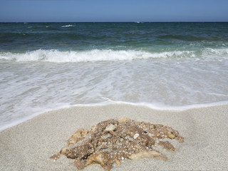 beach of Is Arutas in east coast of Sardinia