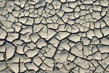 Cracked mud