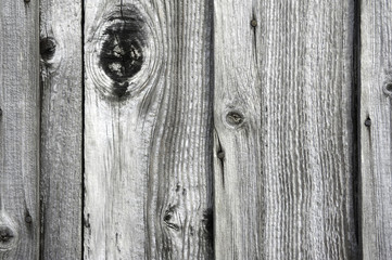 Old weatherbeaten wood with nails and knots