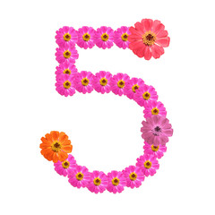 Flower number on isolate. Number five