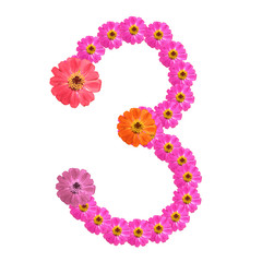 Flower number on isolate. Number three