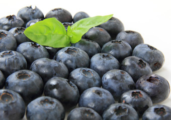 Blueberries with leaves on white background.