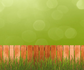 Fence on spring meadow