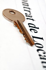Un contrat de location