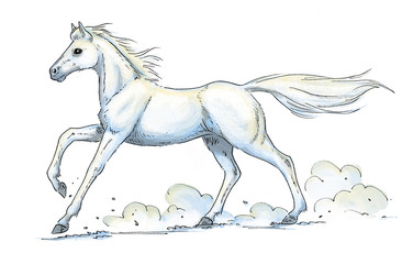 White Horse Gallop Illustration
