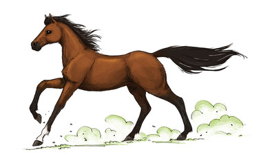Bay Horse Gallop Illustration