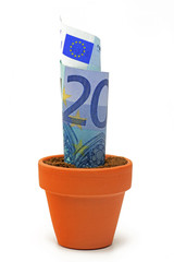 euro in blumentopf