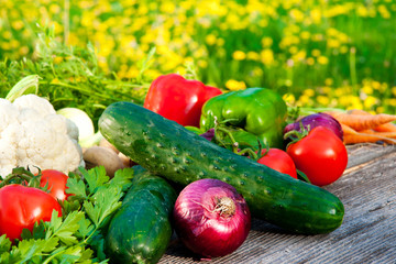 Fresh vegetables