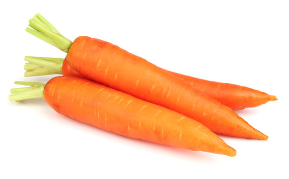 Fresh ripe carrots in closeup
