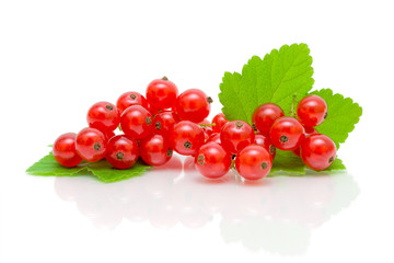 bunch of red currant on white background