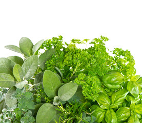 variety fresh herbs over white background