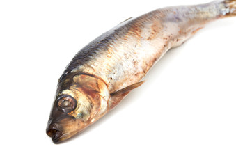 spicy salted herring on a white background