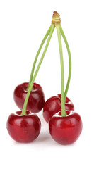 Ripe cherry berries isolated on white