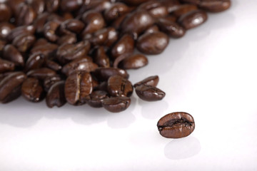 Fototapeta premium 120619-bean5
